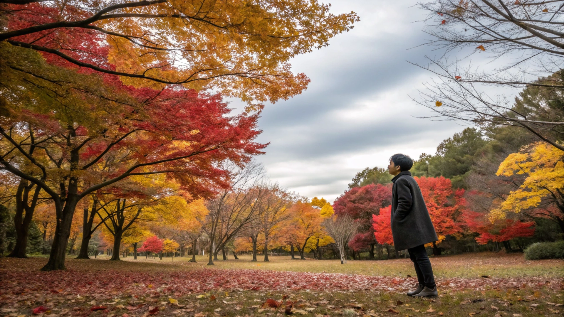 Autumn Gratitude Reflection Practice